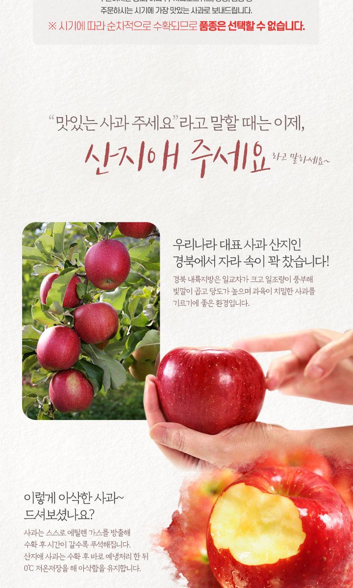 산지애 햇사과 5.4kg (2.7kg*2박스, 총 18~26과, 중과)