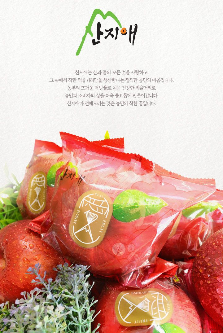산지애 햇사과 5.4kg (2.7kg*2박스, 총 18~26과, 중과)