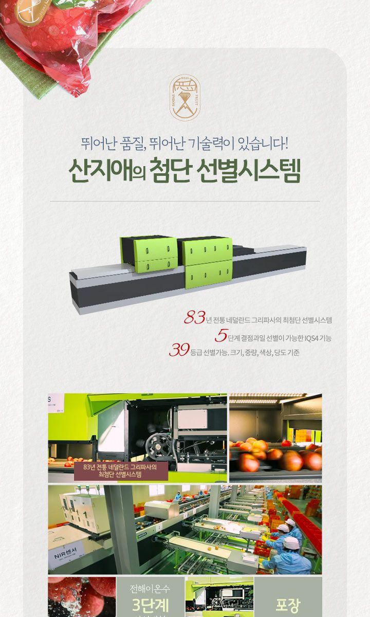 산지애 햇사과 5.4kg (2.7kg*2박스, 총 18~26과, 중과)