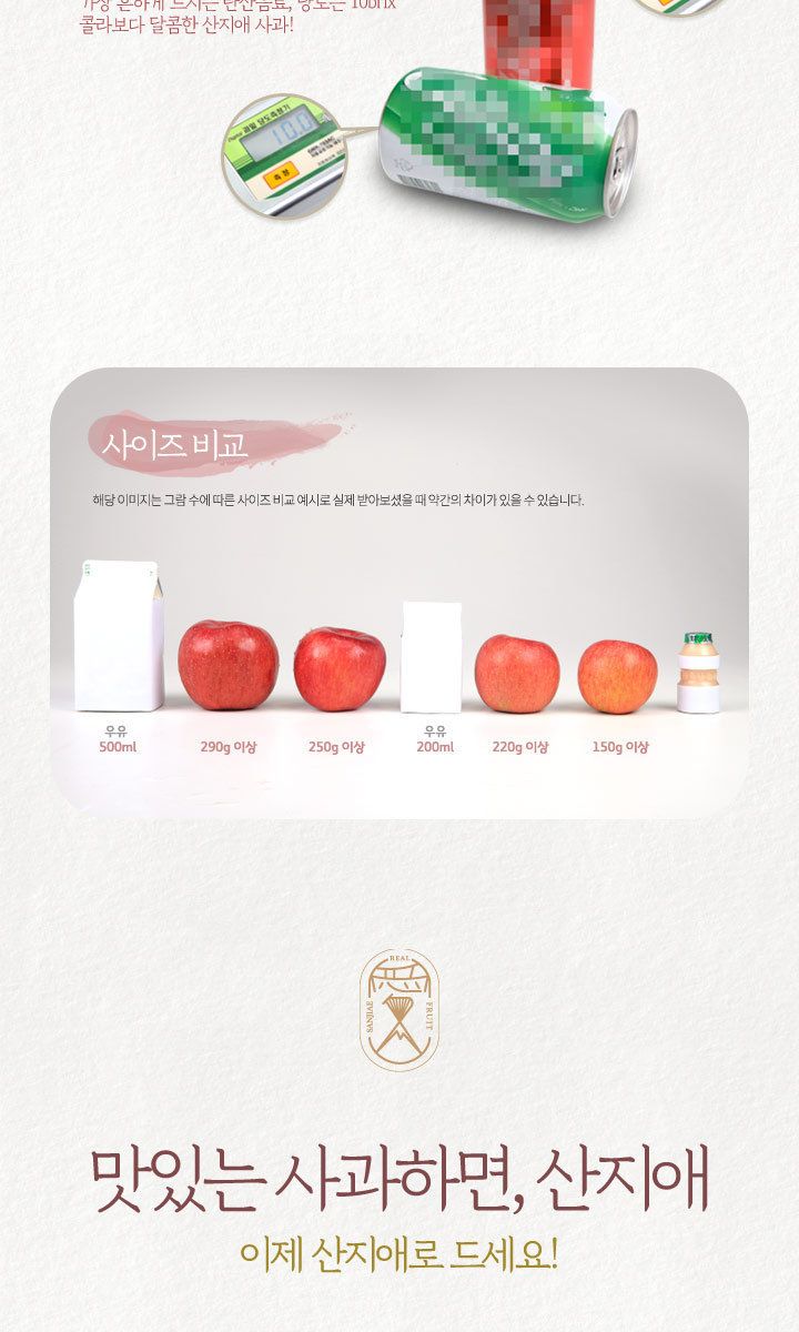 산지애 햇사과 5.4kg (2.7kg*2박스, 총 18~26과, 중과)