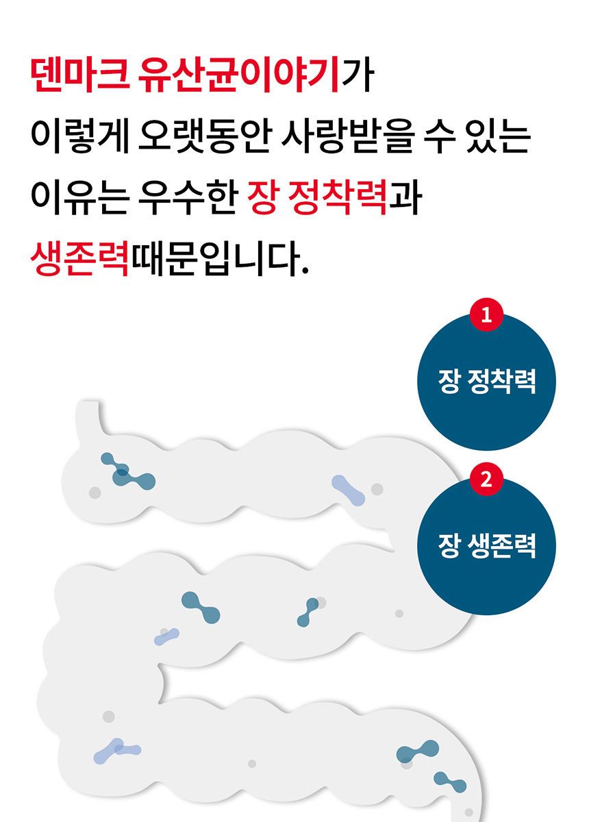 덴프스 LGG 덴마크 유산균이야기 6박스(12개월분)