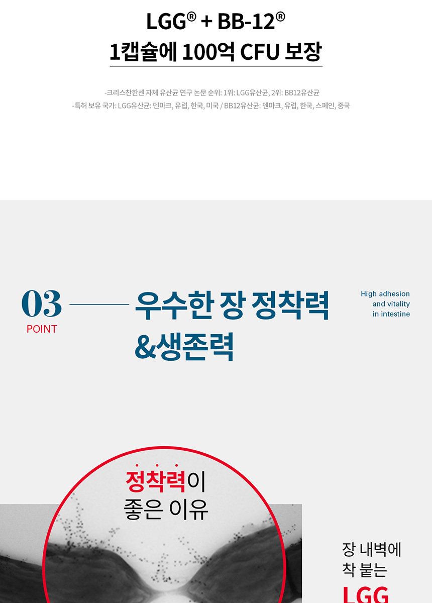덴프스 LGG 덴마크 유산균이야기 6박스(12개월분)