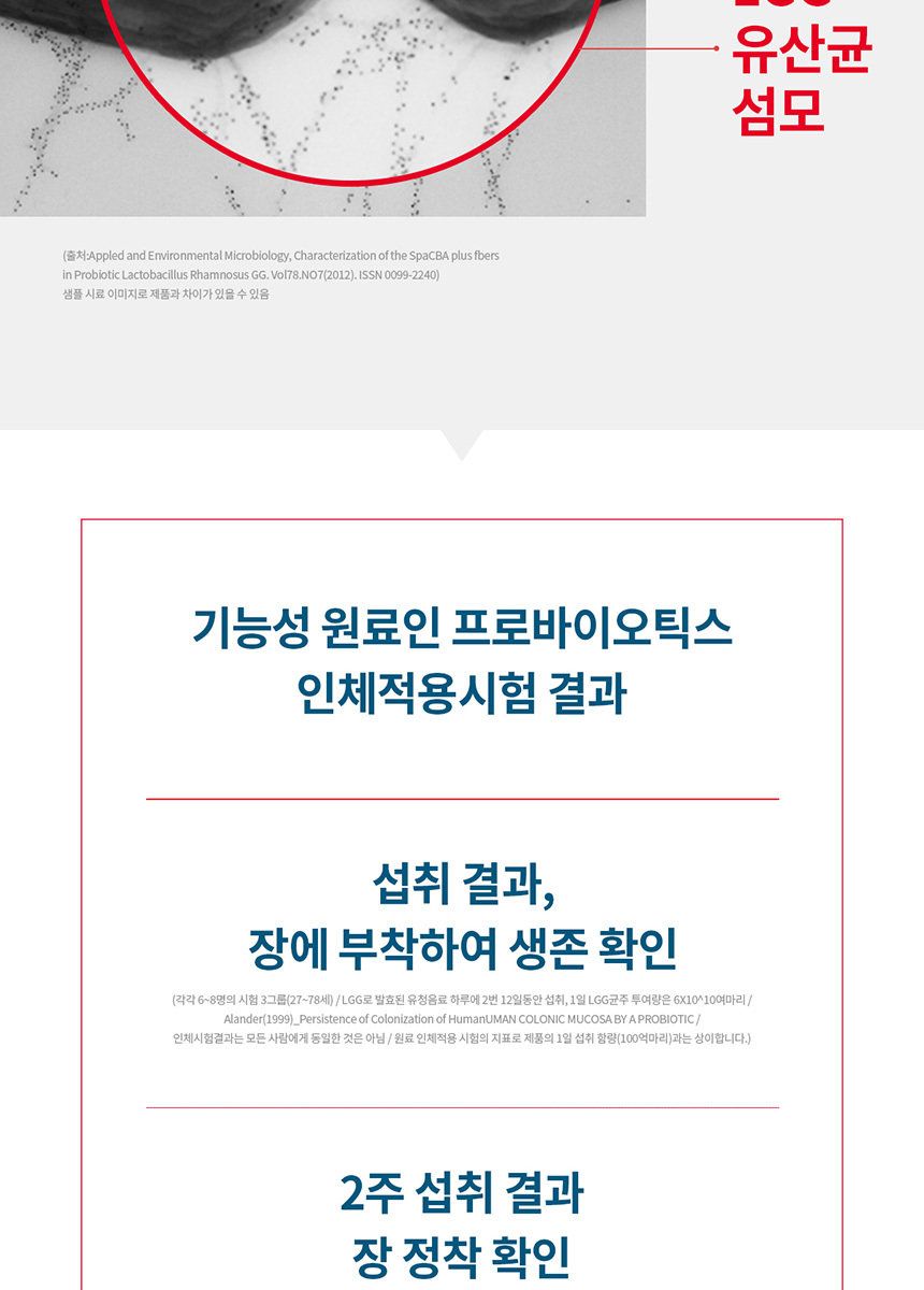 덴프스 LGG 덴마크 유산균이야기 6박스(12개월분)