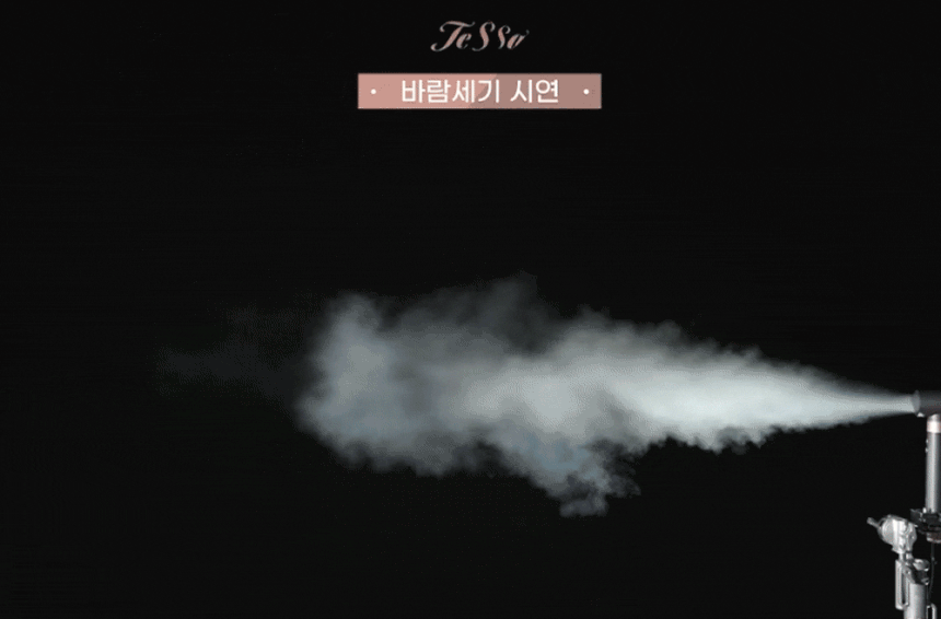 테사 에어스틱 멀티 스타일러