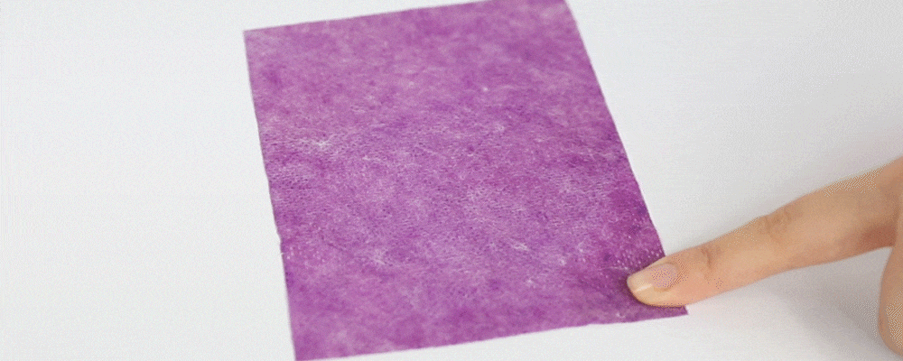 [이염방지]프로닥스 더블액션 시트세제//