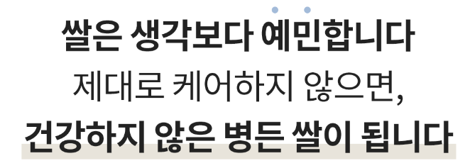 헤르젠 쌀냉장고 AI CARE+ 블랙 11KG