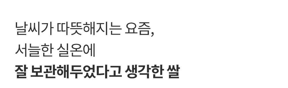 헤르젠 쌀냉장고 AI CARE+ 블랙 11KG