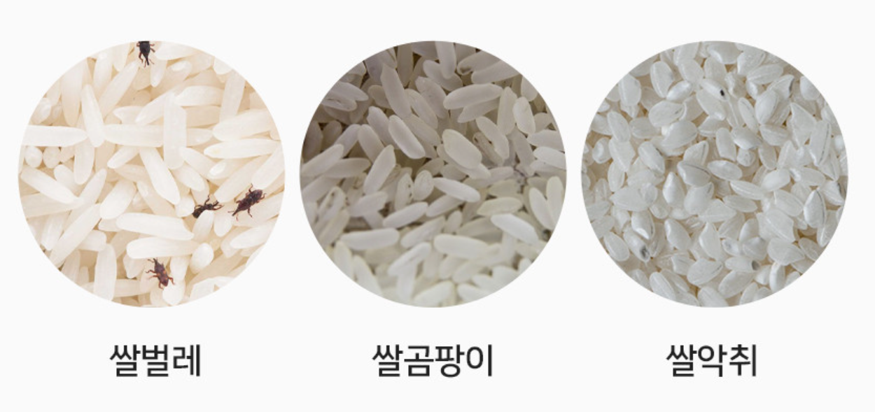 헤르젠 쌀냉장고 AI CARE+ 블랙 11KG