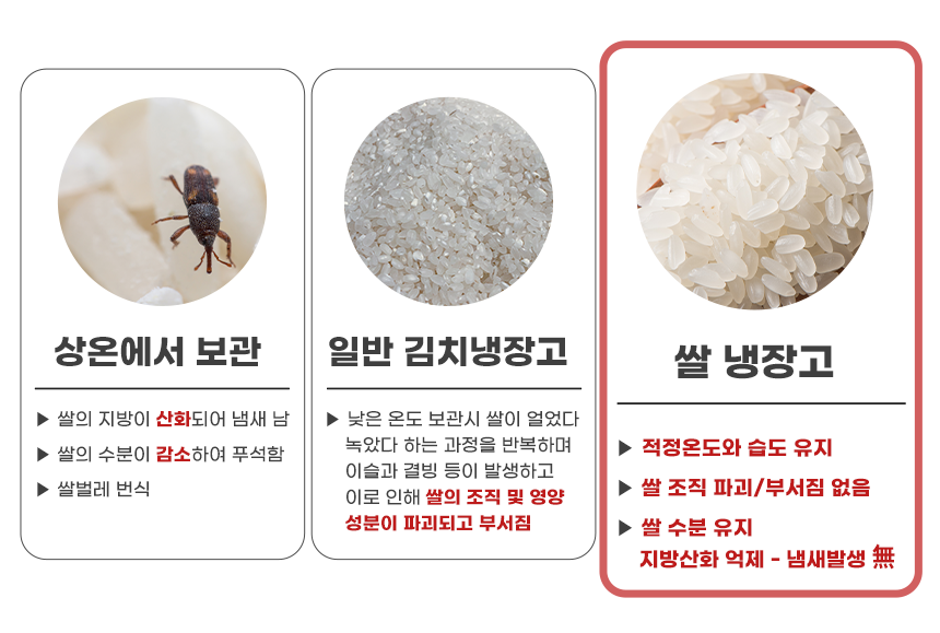 헤르젠 쌀냉장고 AI CARE+ 블랙 11KG