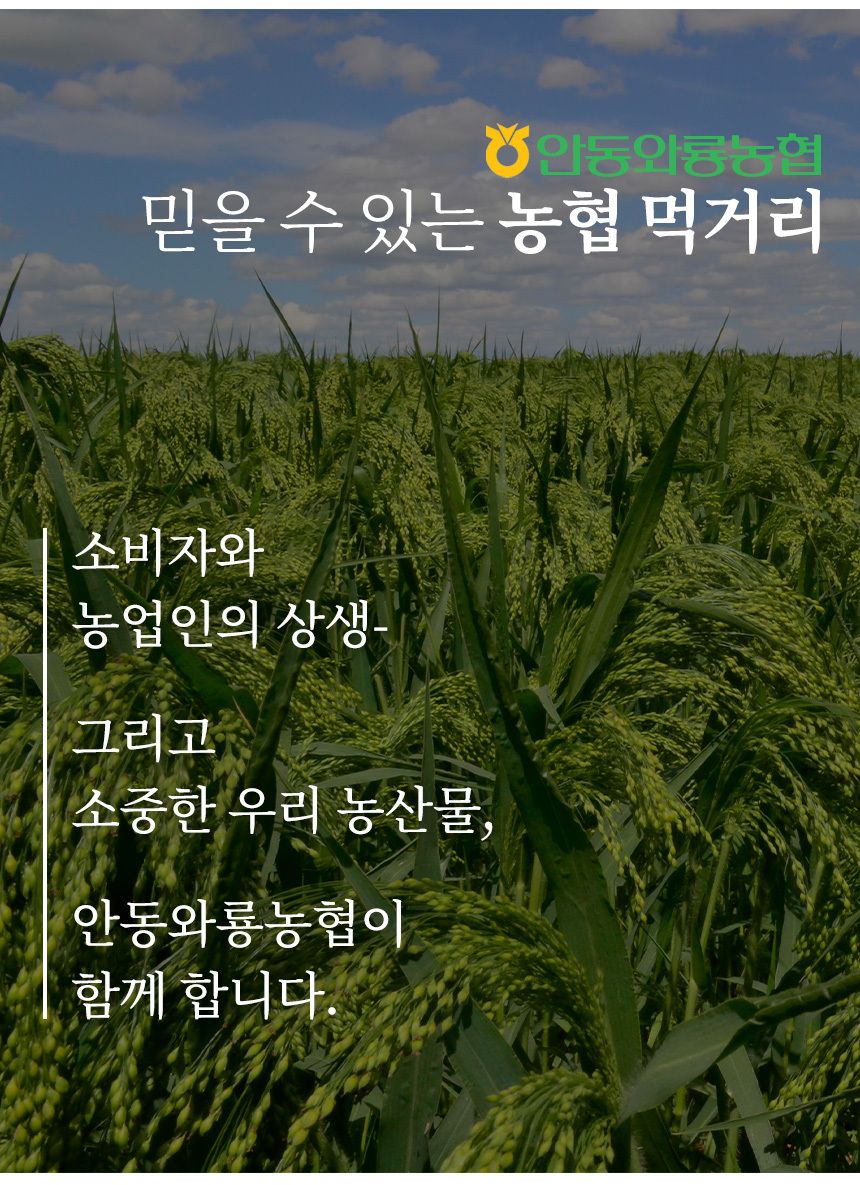 [안동와룡농협] 국내산 잡곡 혼합15곡1kg