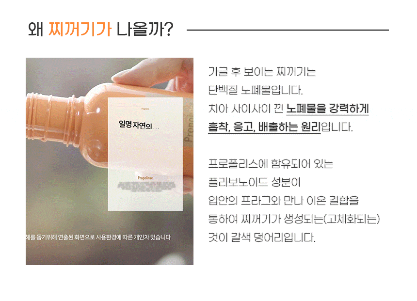 프로폴린스 프로 가글 (600ml*4병 + 150ml*12병 + 12ml*50개)