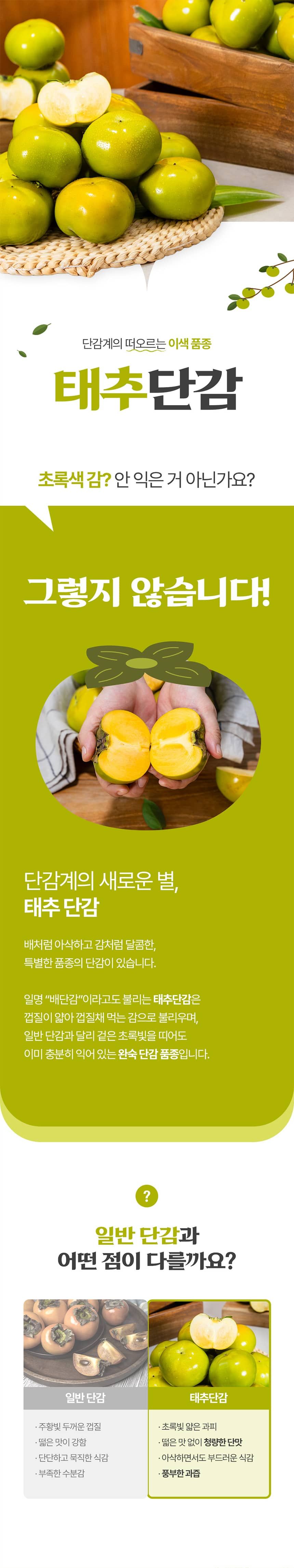태추단감 데이터 웹기1