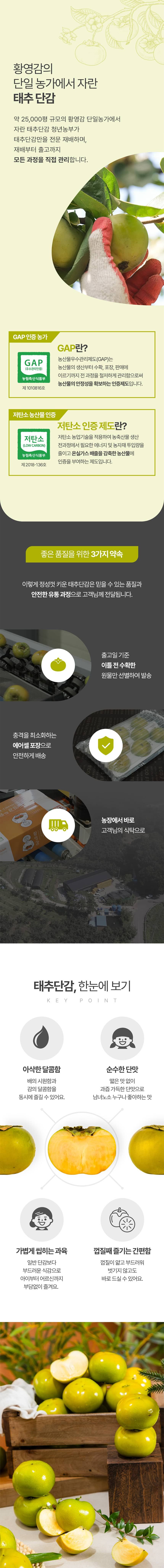 태추단감 데이터 웹기2