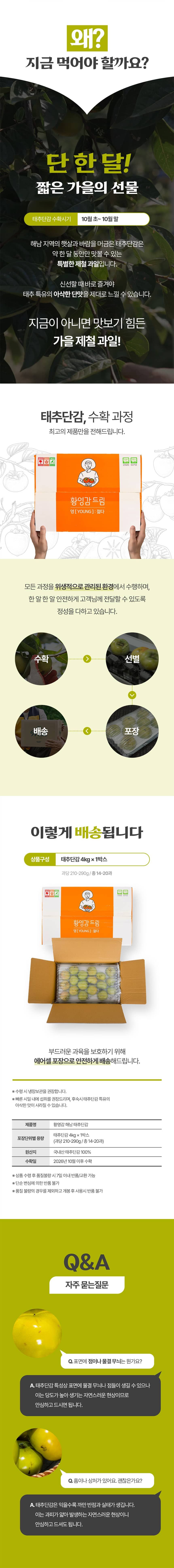 KakaoTalk_20261008_142651141_02