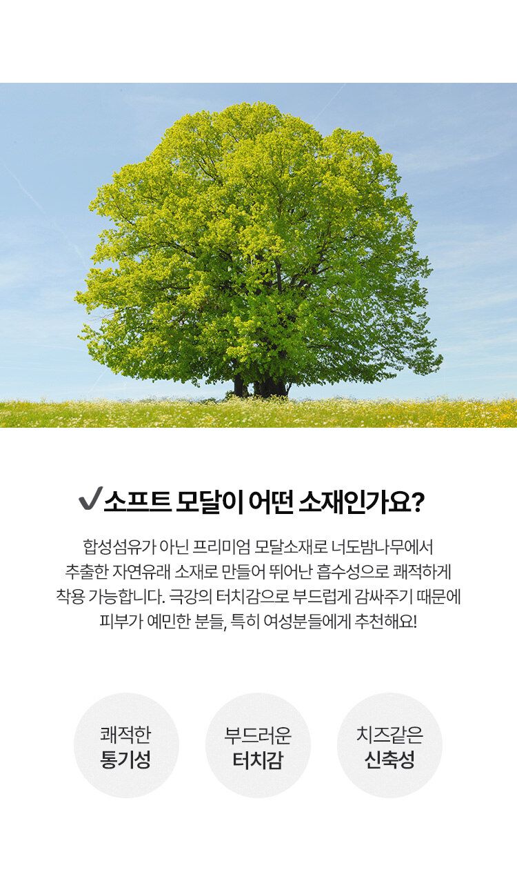 에이세 데일리 컴포트 브라팬티 패키지 [10종]