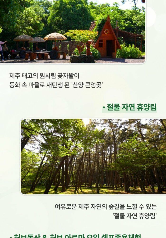 [빛나는제주여행사]제주 3박4일 19만9천원 항공+호텔3박+식사6회