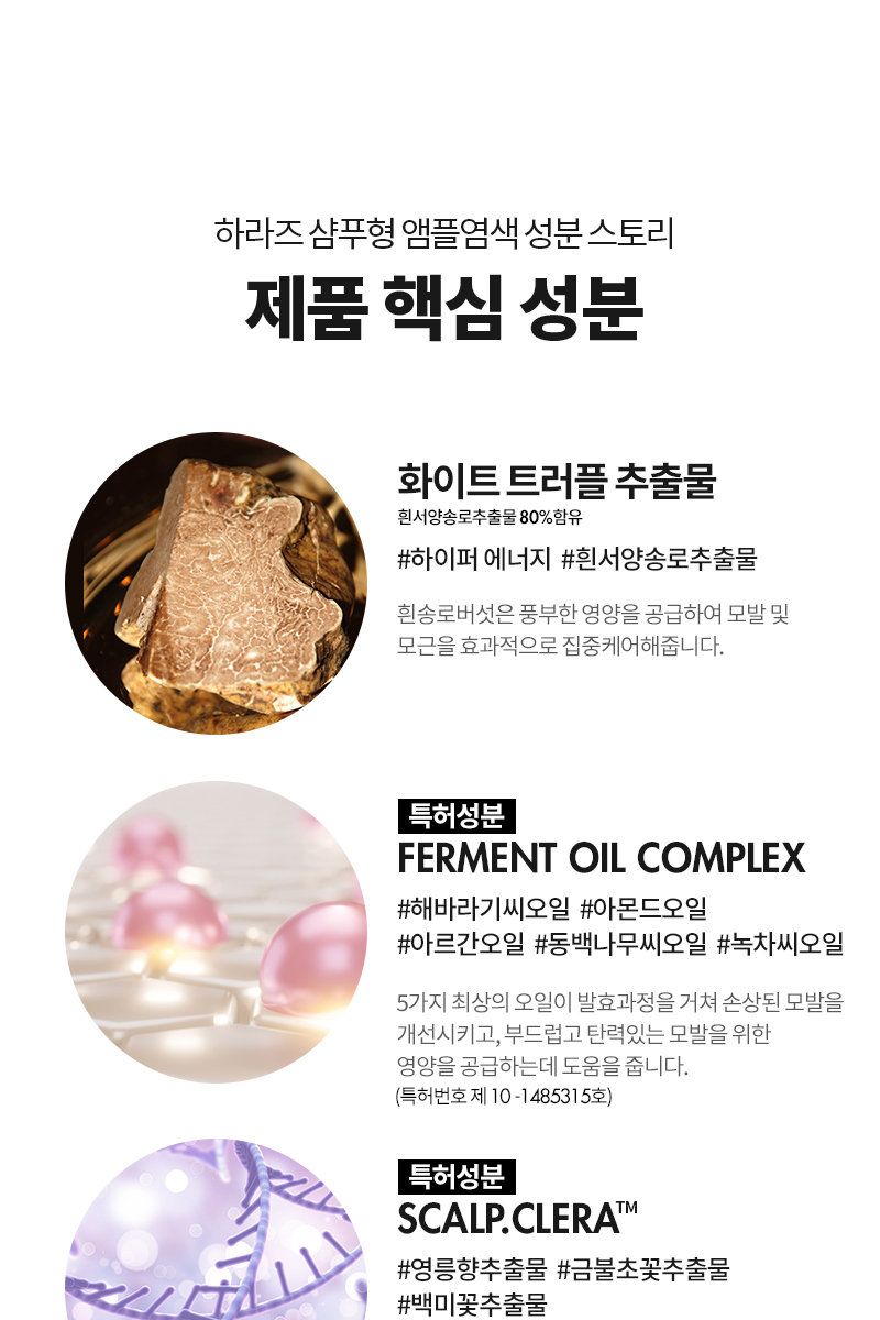 [특집구성] 하라즈 샴푸형 앰플염색제 50회분 고함량 화이트트러플 앰플 함유 + 하라즈 데미지케어 헤어 샴푸/트리트먼트