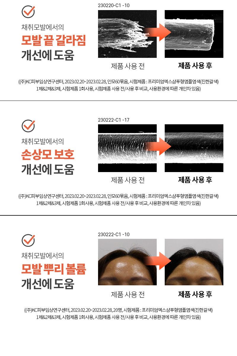 [특집구성] 하라즈 샴푸형 앰플염색제 50회분 고함량 화이트트러플 앰플 함유 + 하라즈 데미지케어 헤어 샴푸/트리트먼트