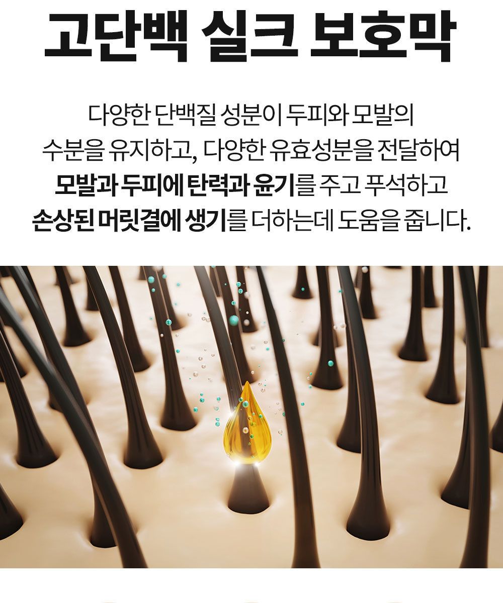[특집구성] 하라즈 샴푸형 앰플염색제 50회분 고함량 화이트트러플 앰플 함유 + 하라즈 데미지케어 헤어 샴푸/트리트먼트