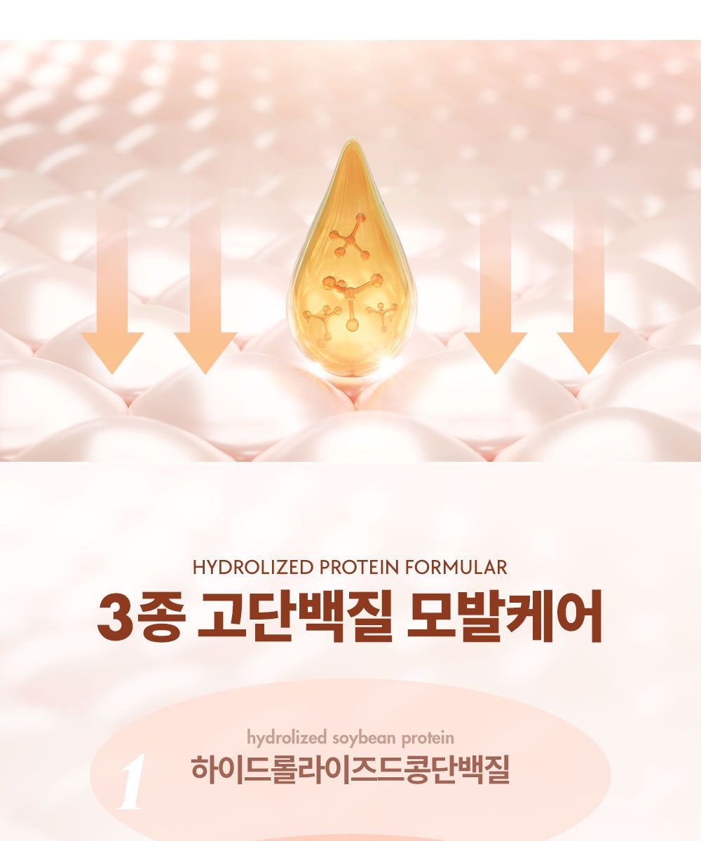 [특집구성] 하라즈 샴푸형 앰플염색제 50회분 고함량 화이트트러플 앰플 함유 + 하라즈 데미지케어 헤어 샴푸/트리트먼트