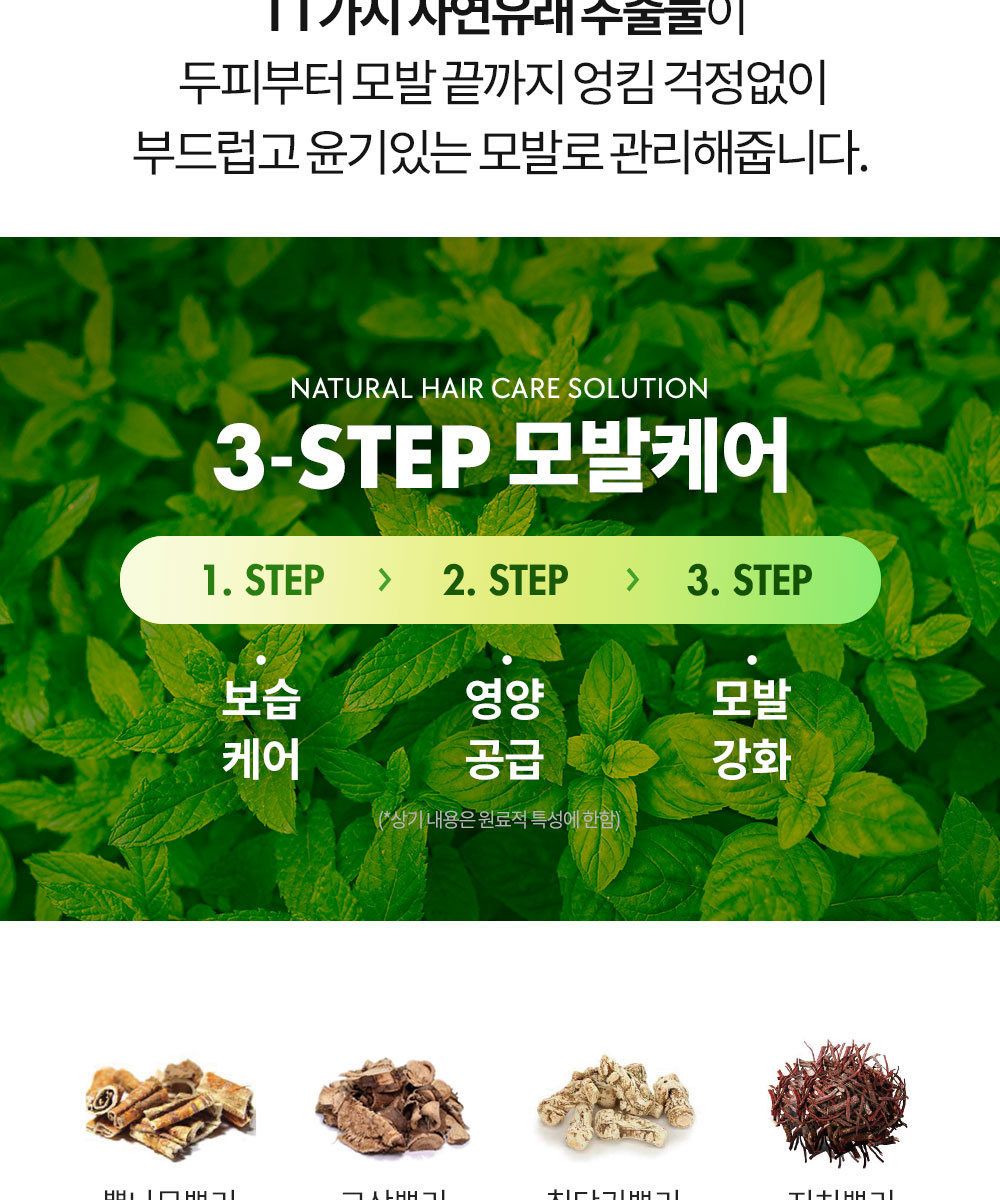 [특집구성] 하라즈 샴푸형 앰플염색제 50회분 고함량 화이트트러플 앰플 함유 + 하라즈 데미지케어 헤어 샴푸/트리트먼트