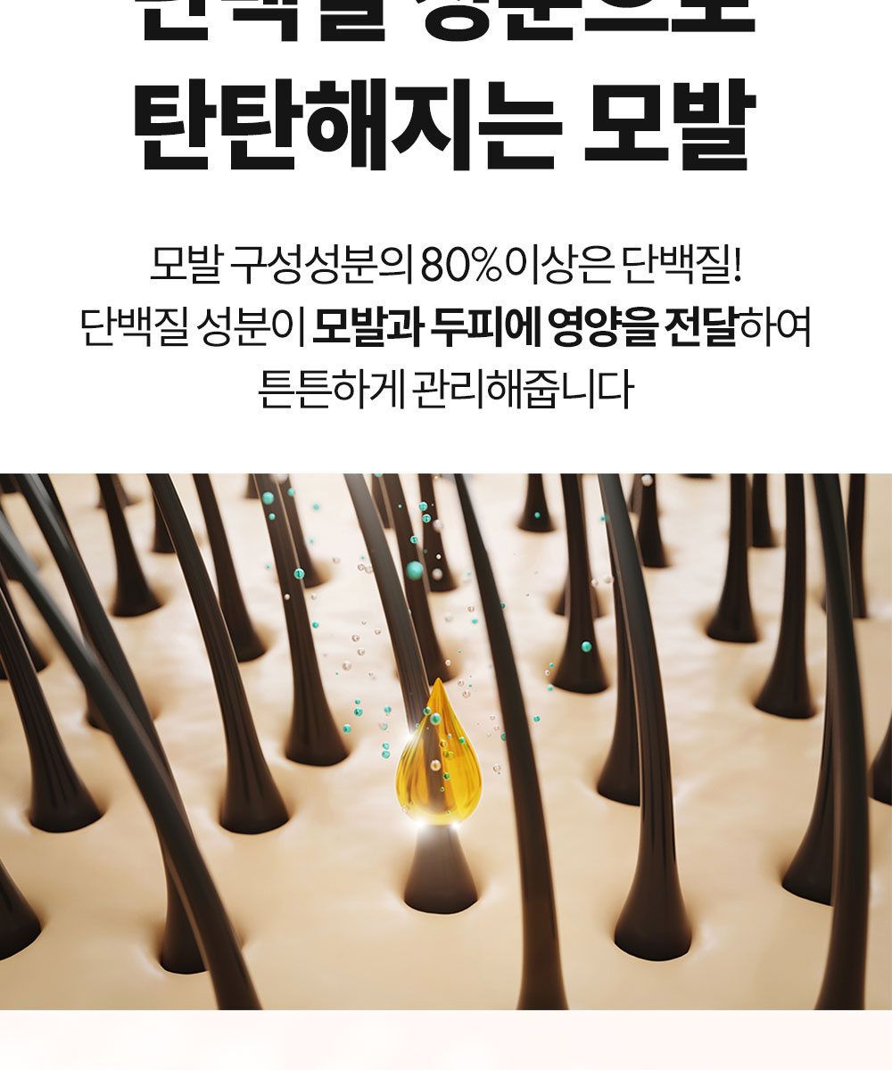 [특집구성] 하라즈 샴푸형 앰플염색제 50회분 고함량 화이트트러플 앰플 함유 + 하라즈 데미지케어 헤어 샴푸/트리트먼트