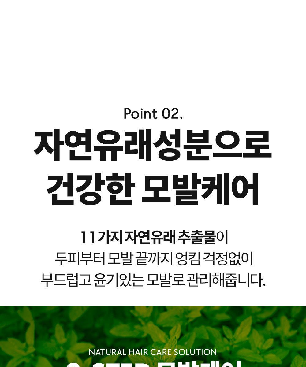 [특집구성] 하라즈 샴푸형 앰플염색제 50회분 고함량 화이트트러플 앰플 함유 + 하라즈 데미지케어 헤어 샴푸/트리트먼트
