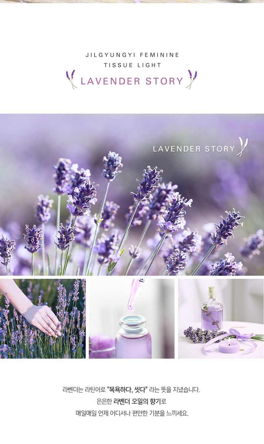 [질경이] [무료체험 본품1병 포함] 질경이 에코아워시 폼(150g) 7개 + 페미닌티슈 라이트(10매입) 8개