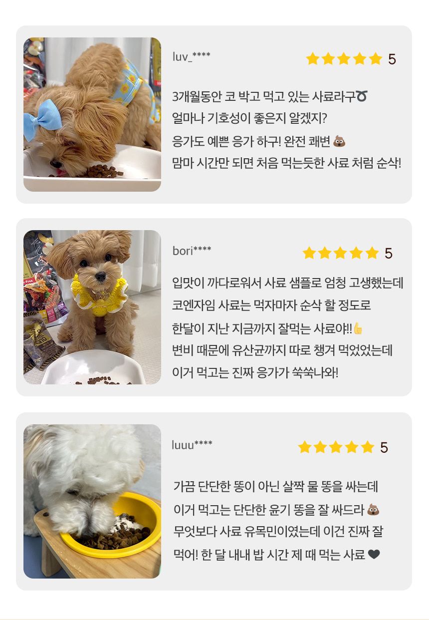 데이스포 테라픽 코엔자임 Q10 강아지 전연령사료 1kg x 5개 + 데이스포 코엔자임Q10 영양제 120g