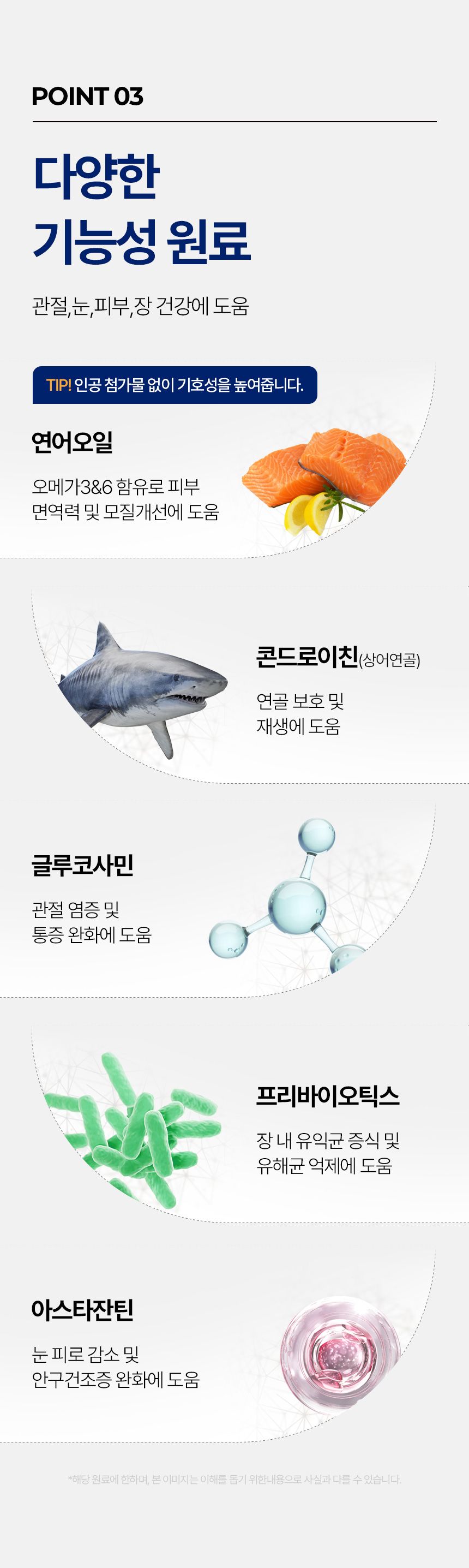 [바로도착] 데이스포 테라픽 강아지사료 1kg x 11팩 대용량 홈쇼핑 1등 사료