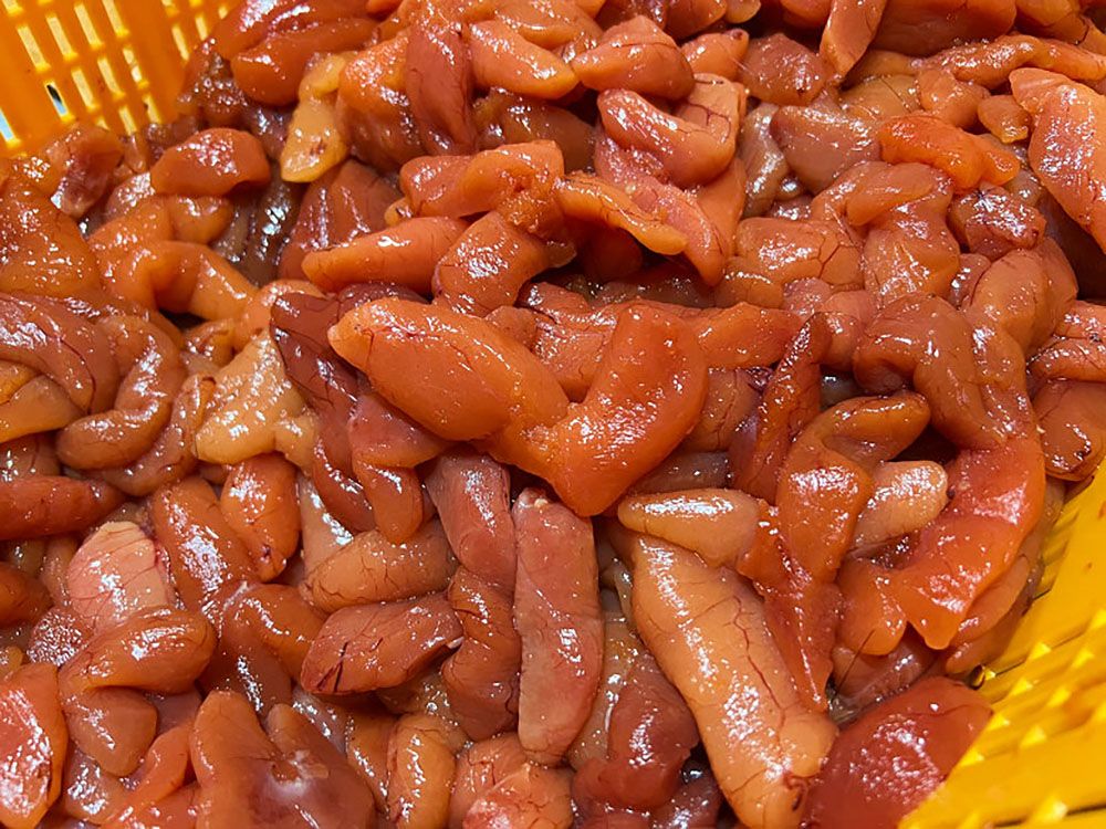 생물 대구 이리 곤이 알탕 밀키트 1.5kg 명란탕 명태알탕 대구탕 해물탕 밀키트 동태탕 밀키트 대구 매운탕