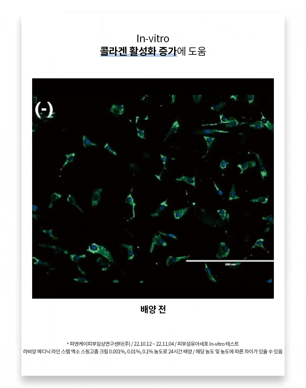 라비앙 미라클 스핑고좀 크림 50g 1통