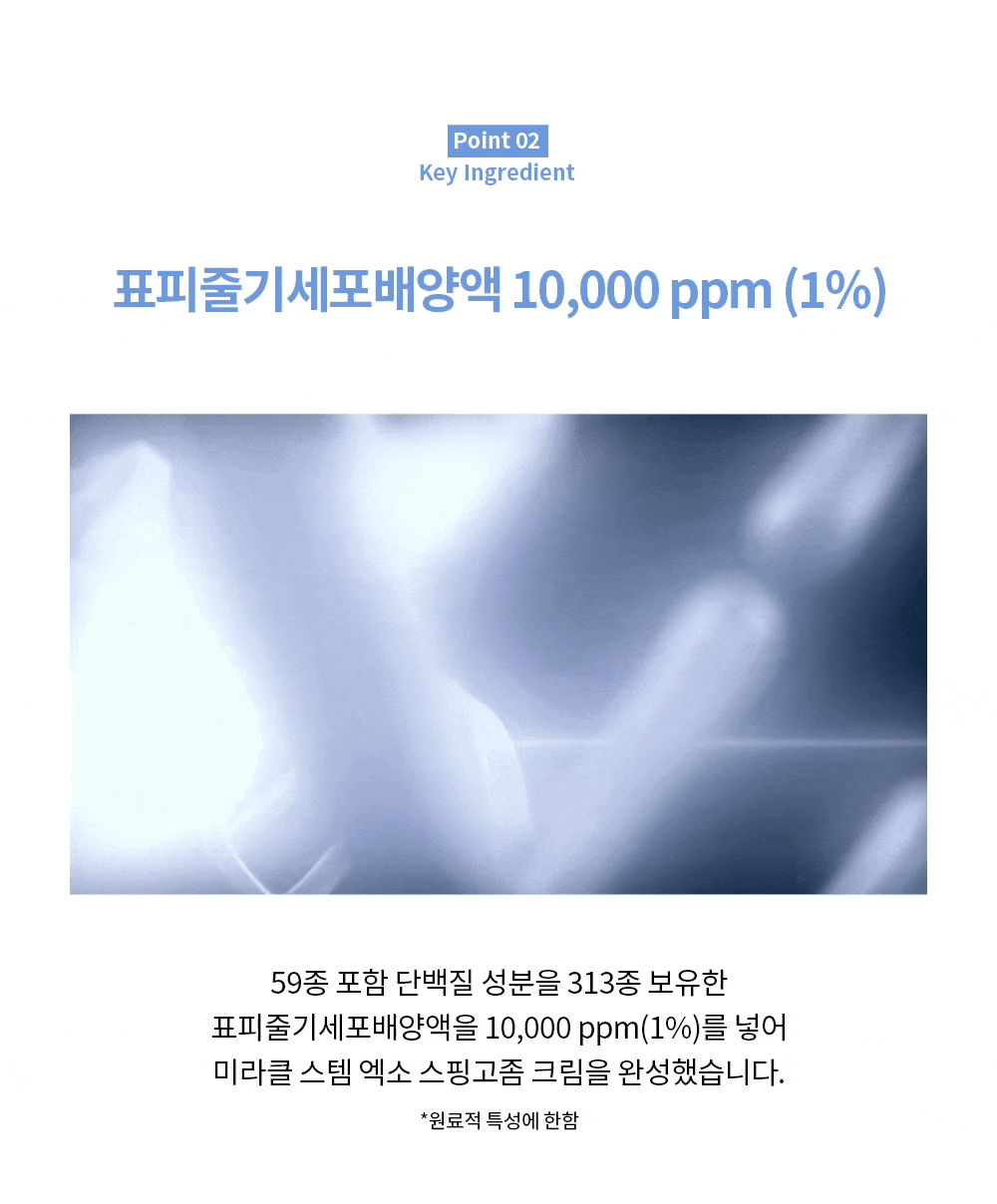 라비앙 미라클 스핑고좀 크림 50g 1통